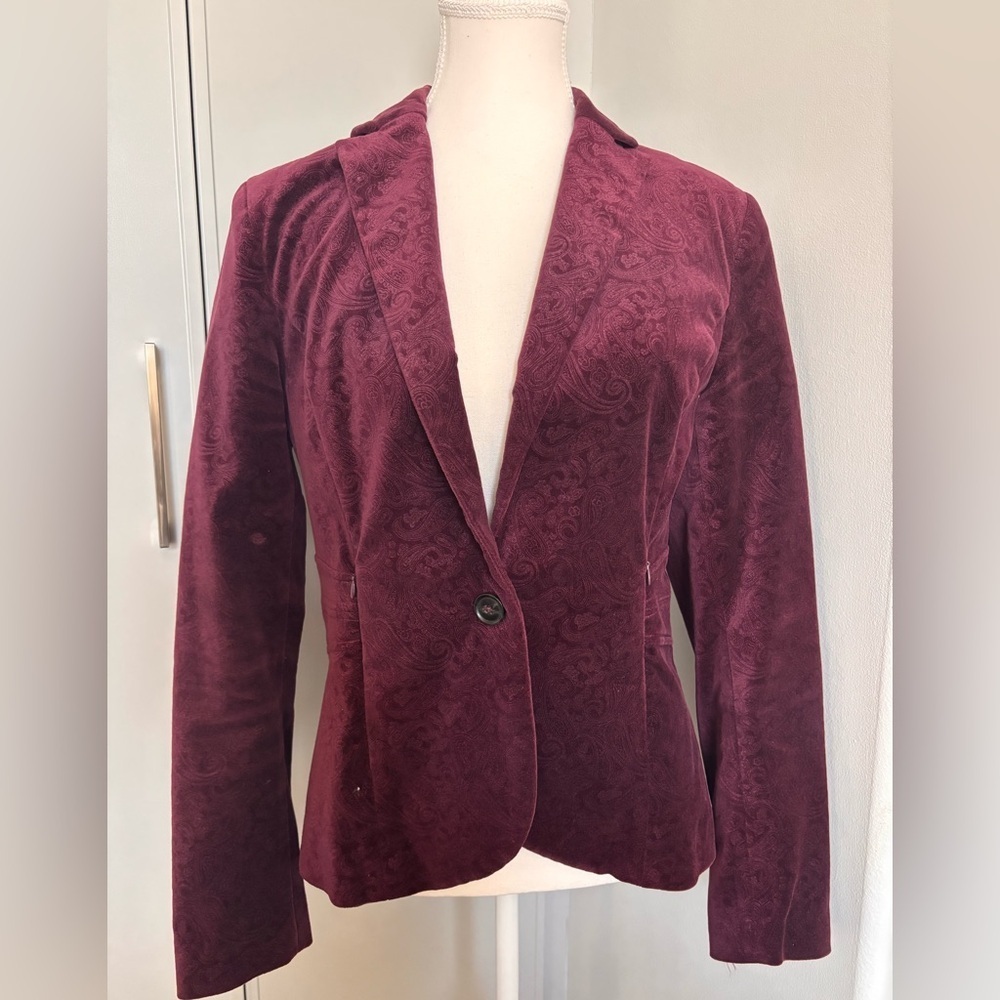 Olsen Europe Velvet Maroon Women's Blazer